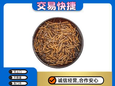 德州市庆云回收散虫草